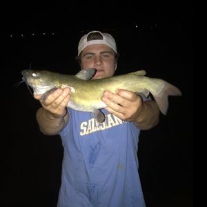 Meet your Posher, Danny